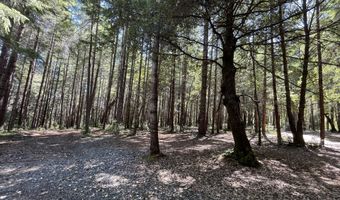 Agness-Illahe Rd, Agness, OR 97406