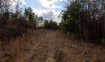 Saint John Road, Braxton, MS 39044