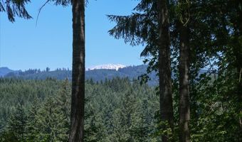 14900 NE 399TH St, Amboy, WA 98601