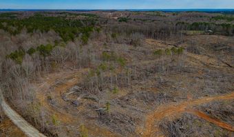 0 County Road 217 Lot 1, Blue Springs, MS 38828