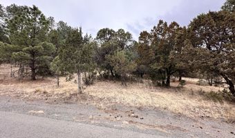 Lot 111 Antler Dr, Alto, NM 88312