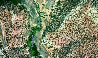 TBD X4 Road, Bedrock, CO 81411