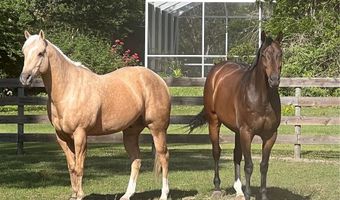 13009 NW 123RD Pl, Alachua, FL 32615