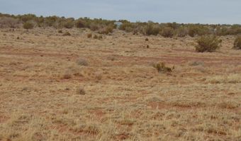 42 N5576, Concho, AZ 85924