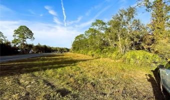 0 SR-19, Altoona, FL 32702