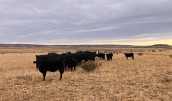 County Road 91.9, Aguilar, CO 81020