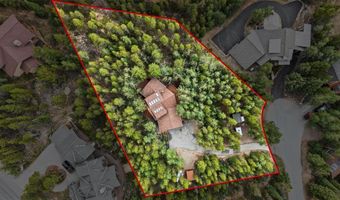54 Ski Trail Cir, Breckenridge, CO 80424