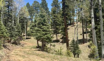 Lot 91ab Pam Coleman Drive, Angel Fire, NM 87710