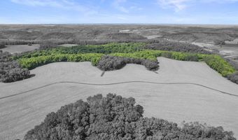 33 44 Acres Zwettler Rd, Arena, WI 53517