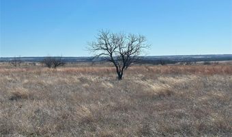 Tbd County Road 619, Pottsville, TX 76565