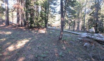 175 Silver Tip Dr, Bear Valley, CA 95223