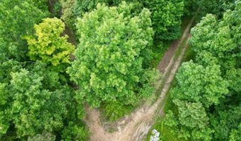 00 Coal Branch Rd, Beattyville, KY 41311