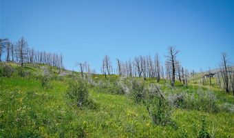712 Beasley Crk, Bozeman, MT 59715