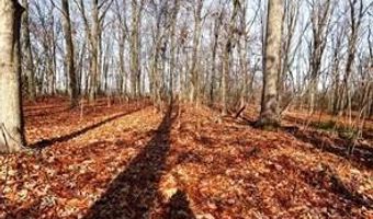 BELL Avenue, Barrington, NJ 08007