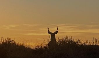 CHIMNEY BUTTE Road lot 8, Boulder, WY 82923