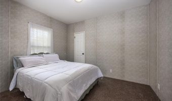 3670 NW 20TH Ave, Bell, FL 32619