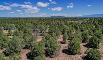 B 1A Comanche Trail, Carson, NM 87517