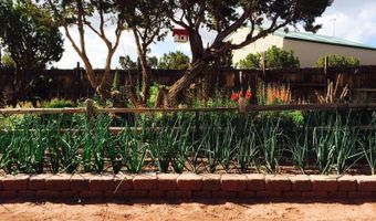 27 County Road N8477, Concho, AZ 85924