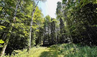 235 Moise Wood Rd, Brighton, VT 05846