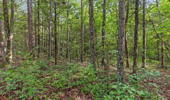 12706 Cranfield Rd, Birchwood, TN 37308