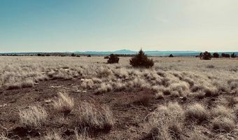 90 B Volcano Trl, Ash Fork, AZ 86320