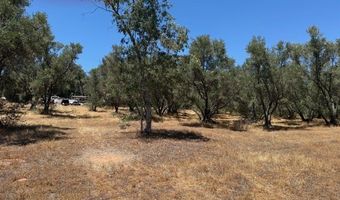 2804 S Grade Rd, Alpine, CA 91901