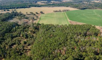 Tbd N COUNTY RD 1491, Alachua, FL 32615