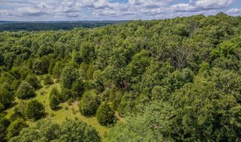 Co Rd 539, Ava, MO 65629