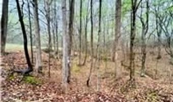 10 Cross St, Abbeville, SC 29620