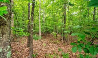 175 Tracie Dr, Altavista, VA 24517