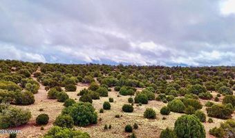 Tbd Co Rd 8256 Lot C 10 Acres, Concho, AZ 85924