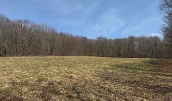 Lot 2 Doig Hollow Road, Andes, NY 13731