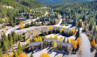 306 ILLINOIS GULCH Rd 113, Breckenridge, CO 80424