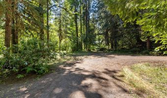 McKenzie River Dr 1800, Blue River, OR 97413
