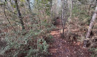 259 Forest Lake Rd, Beaumont, MS 39423