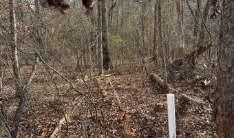 Singer Ln, Abbeville, AL 36310