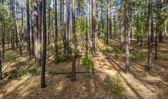 15 Co Rd 2083, Alpine, AZ 85920