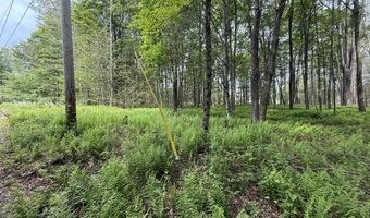 Dorshimer Ave, Blakeslee, PA 18610