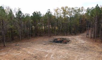 00002 Trickhambridge Rd, Brandon, MS 39042