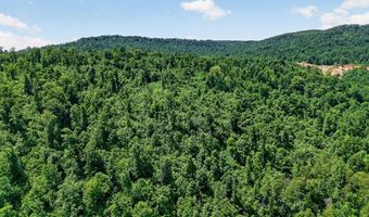 192 Puncheon Creek Ln, Allred, TN 38542