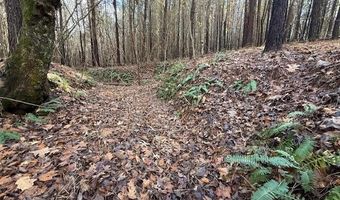 Beck Springs, Ashland, MS 38603