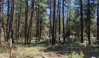 12543 Night Owl Dr, Bonanza, OR 97623