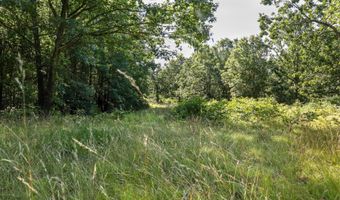Private Drive Off Of Fr 1245, Aurora, MO 65605