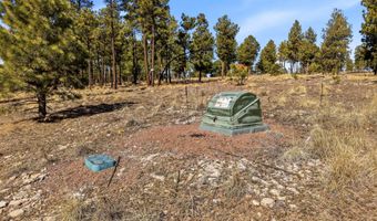 N2147, Alpine, AZ 85920