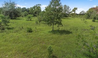 TBD 10th St, Bell, FL 32619