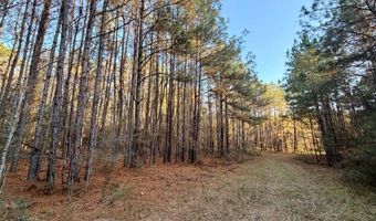 0 King Ln, Bay Minette, AL 36507