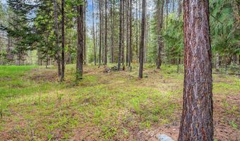 30612 Three Turtle Xing, Bigfork, MT 59911