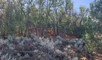 38 S 6 W, Alton, UT 84710