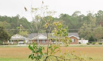 273 Holmesville Ave, Baxley, GA 31513