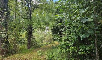 97 Destination Dr, Asheville, NC 28806